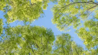 莱万多夫斯基马德里竞技结果意外(莱万多夫斯基替补上阵 9分钟5球) 莱万多夫斯基马德里竞技结果意外(莱万多夫斯基替补上阵 9分钟5球)